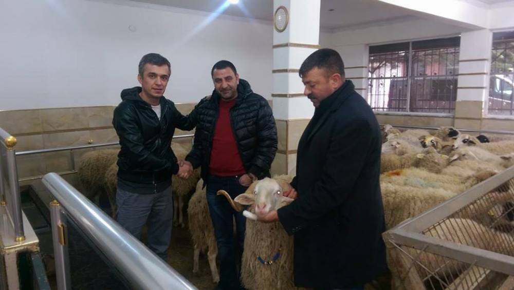 Adak ve Kurbanda Her Zaman Uygun Fiyat