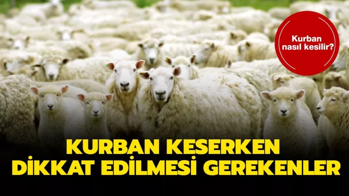 Kurban Nasıl Kesilir? Kurban Keserken Nelere Dikkat Edilmelidir?